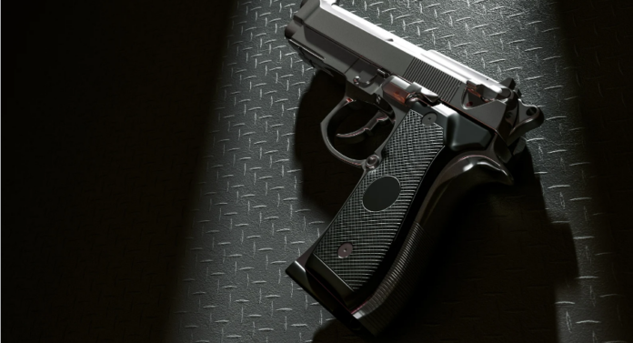 Senate Seeks Arms Licence Ban for Non-Tax Filers